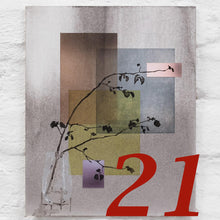 Load image into Gallery viewer, 21