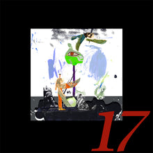Load image into Gallery viewer, 17