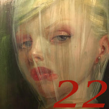 Load image into Gallery viewer, 22