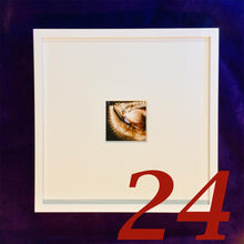 Load image into Gallery viewer, 24