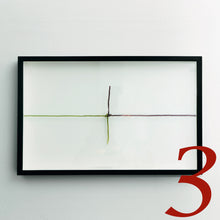 Load image into Gallery viewer, 3