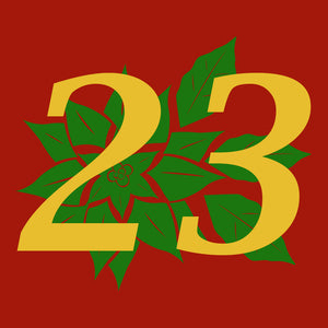 23